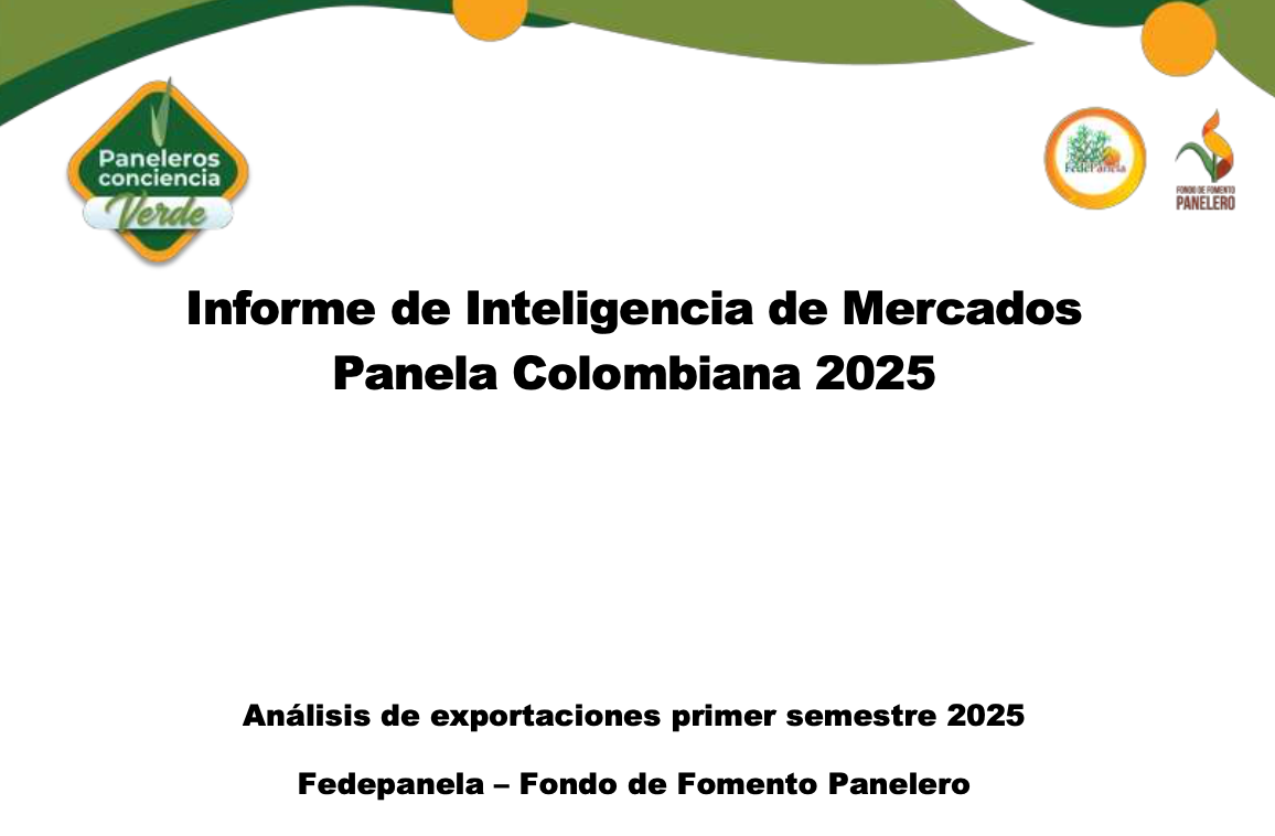 Análisis de exportaciones primer semestre 2025