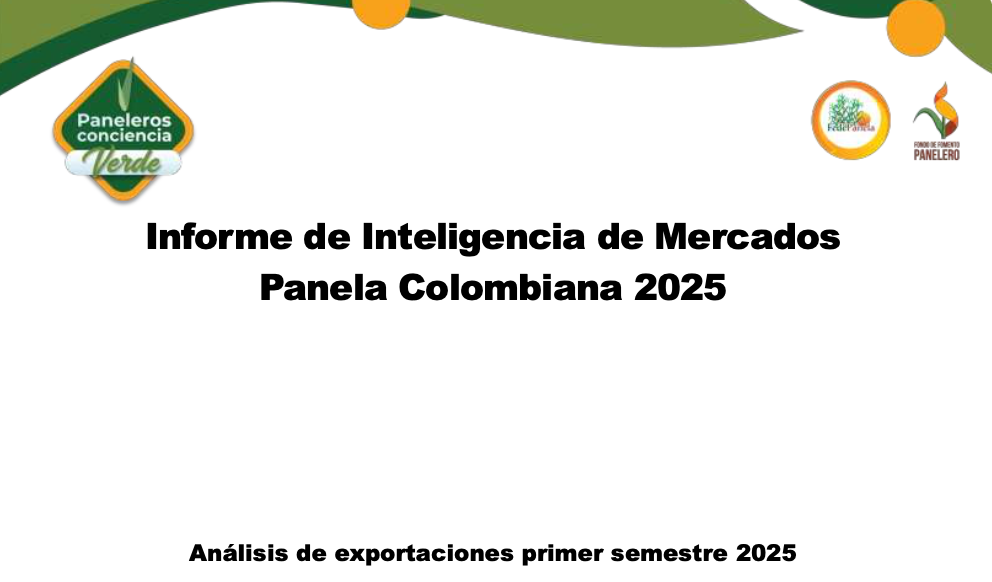 Informe Inteligencia de Mercados 2025 ll (2)