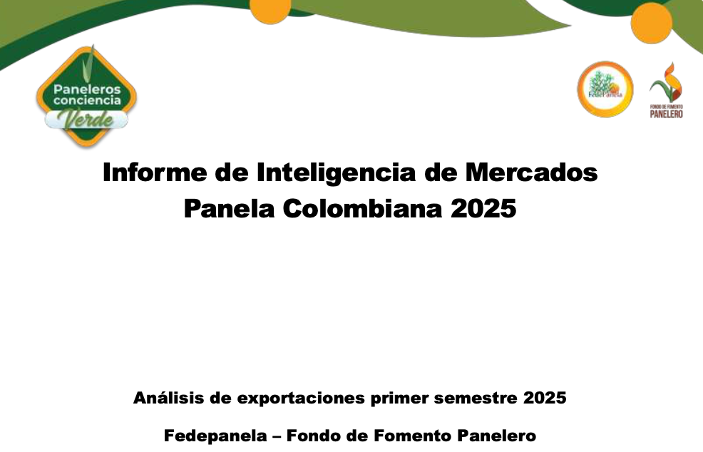 Informe Inteligencia de Mercados 2025 l (3)