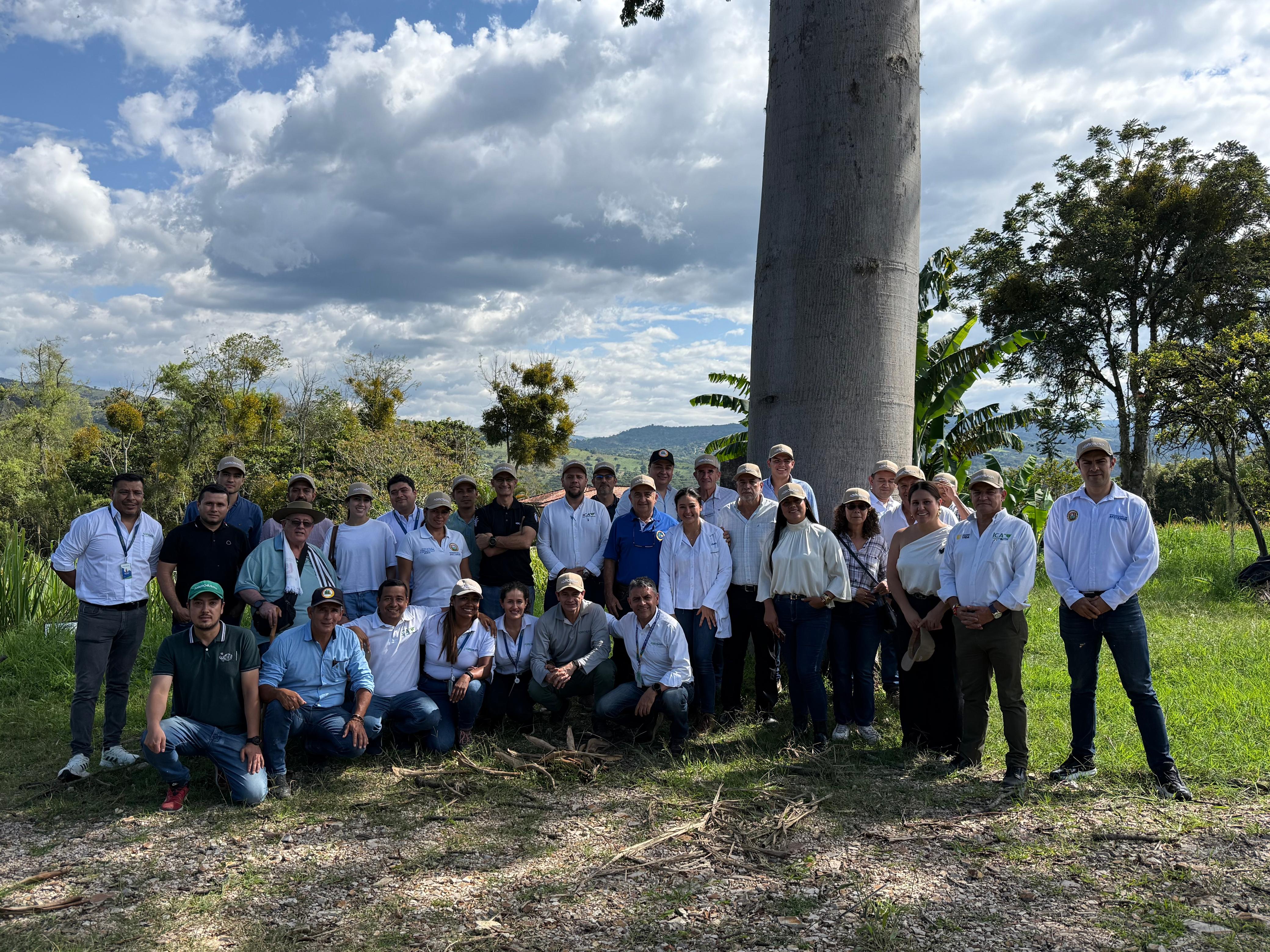 Fondo de Fomento Panelero impulsa proyecto interinstitucional para el control biológico en la caña panelera