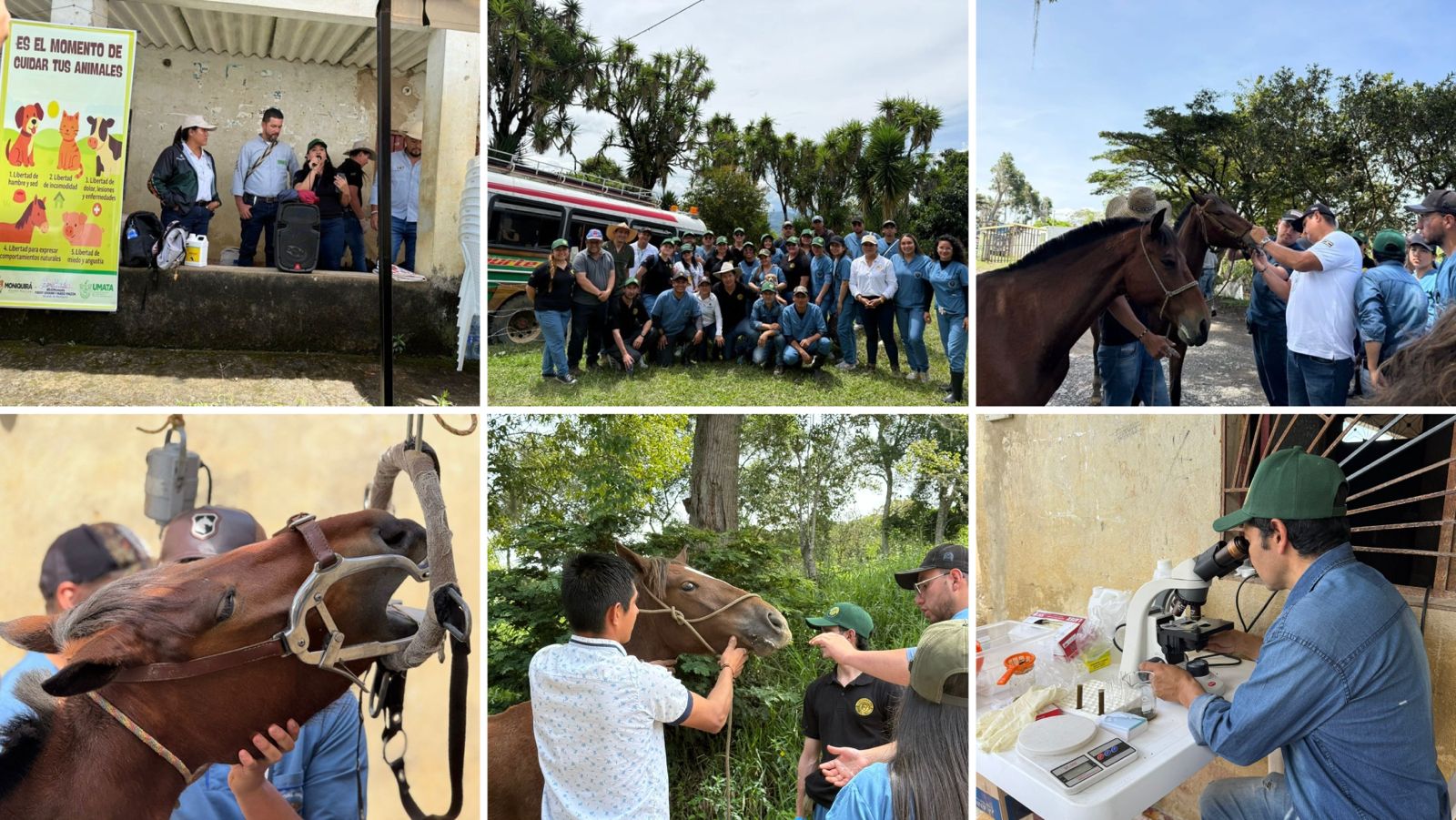 Campaña de Bienestar Animal en Moniquirá